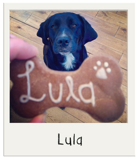 Un biscuit personnalisée pour Lula !